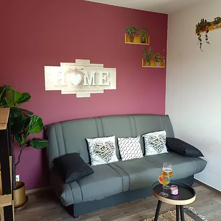 Apartament A 300 M De La A Pied Et Des Commerces *