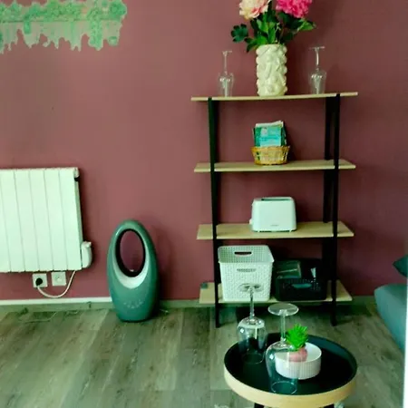 Lumineux A 300 M De La Et Commerces 公寓 滨海维莱