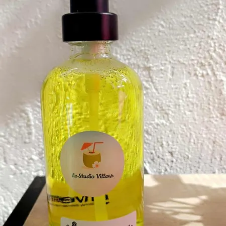 Lumineux A 300 M De La Et Commerces 公寓 滨海维莱