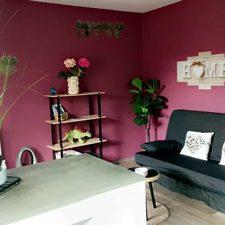 Lumineux A 300 M De La Et Commerces 公寓