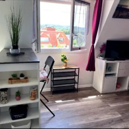 דירה Lumineux A 300 M De La Et Commerces