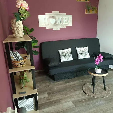 Lumineux A 300 M De La Et Commerces דירה