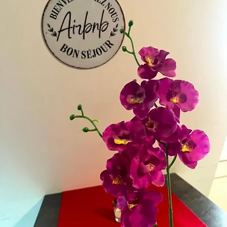 דירה Lumineux A 300 M De La Et Commerces