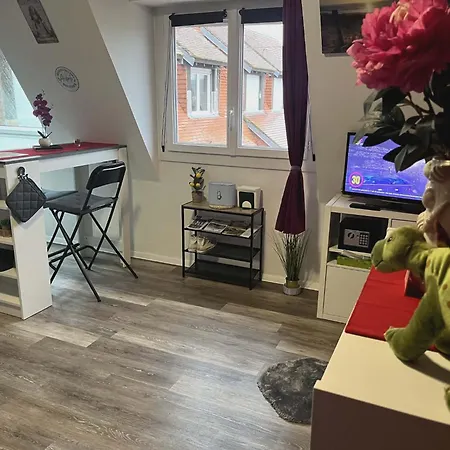 דירה Lumineux A 300 M De La Et Commerces *