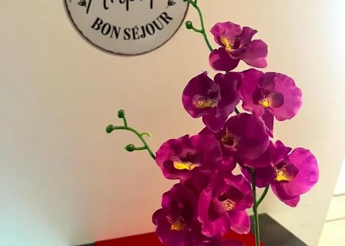 Apartamento Lumineux à 300 M De La Et Commerces