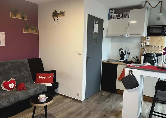 Apartamento Lumineux à 300 M De La Et Commerces *